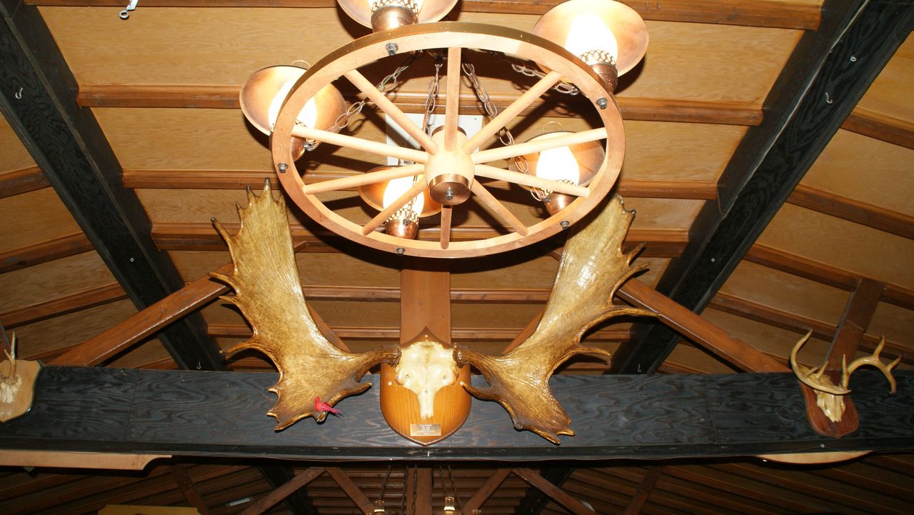2015 01 17_2271.JPG