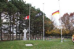 2011 11 13_0004.JPG