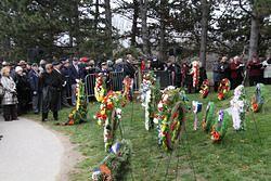 2011 11 13_0157.JPG
